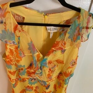 Saloni sleeveless dress